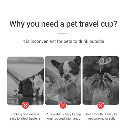 Gourde Portable Anti-Fuite pour Chien