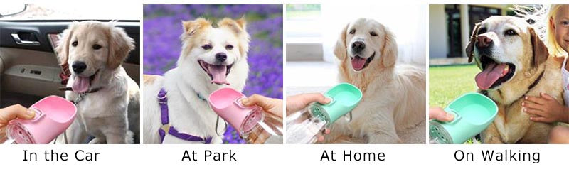 Gourde Portable Anti-Fuite pour Chien