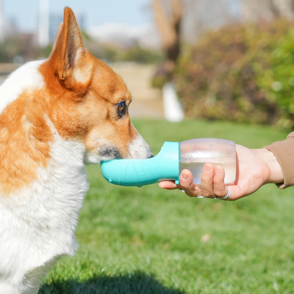 Gourde Légère pour Chien 300ml